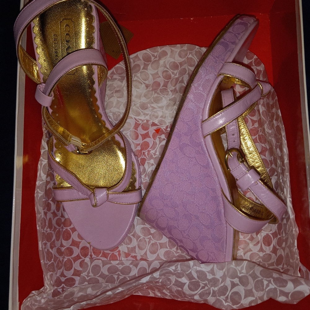 Pink and Gold Coach Wedges